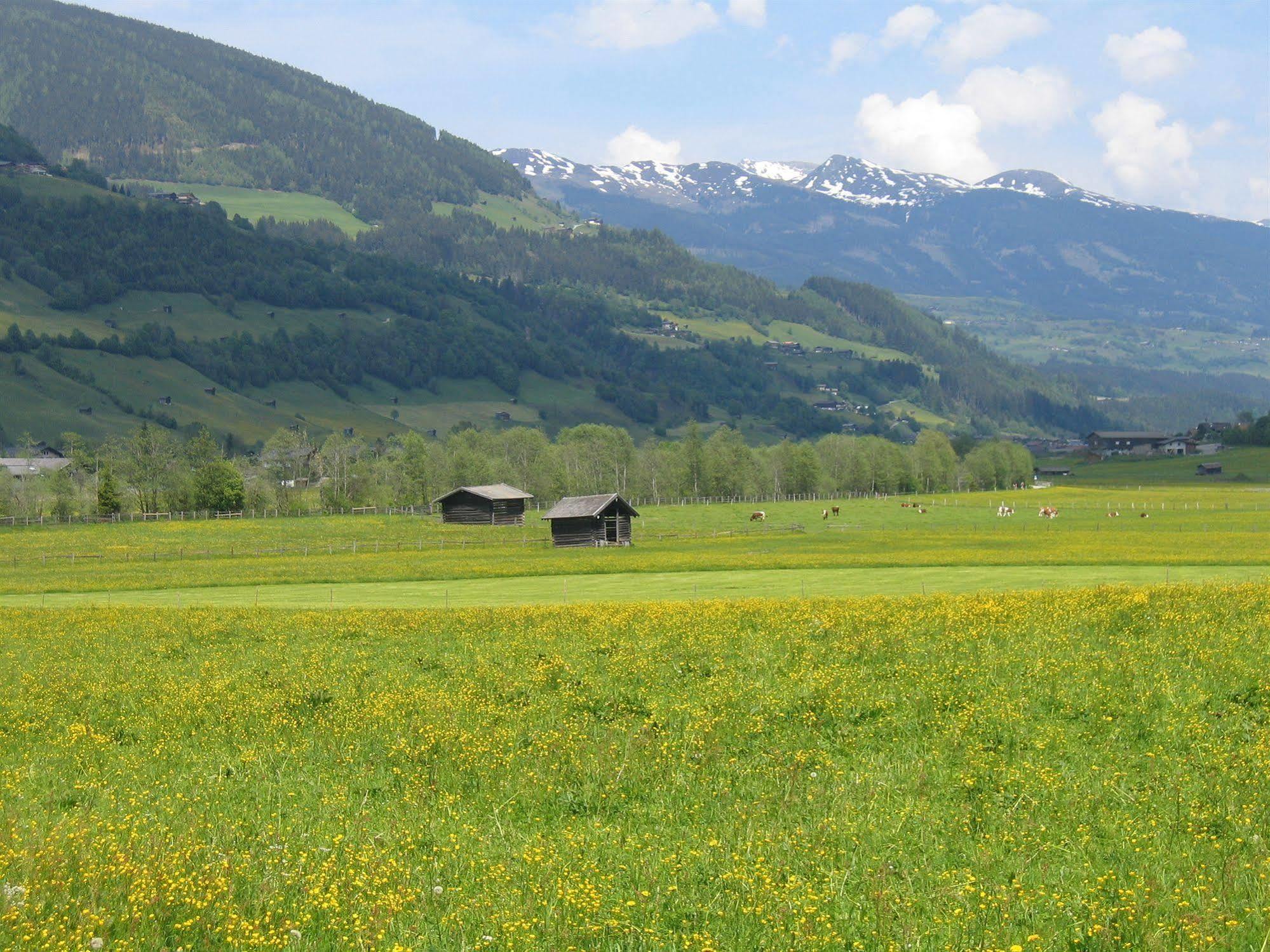 Pension Kristall Брамберг-ам-Вильдкогель Экстерьер фото